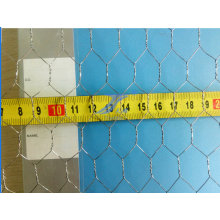 China Manufacture Factory 20mm*25mm Hexagonal Wire Metting for Chicken